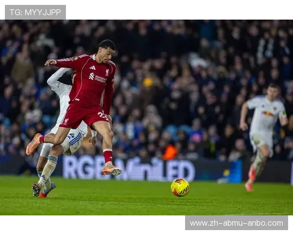 中国球员在英超的体育竞技历程及影响力 中国球员在英超的体育竞技历程及影响力