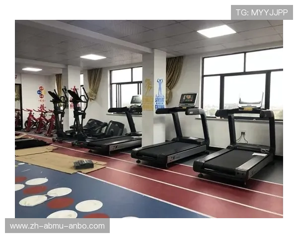 高端商用健身器材厂家定制化服务打造差异化优势