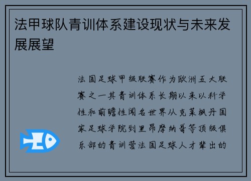 法甲球队青训体系建设现状与未来发展展望