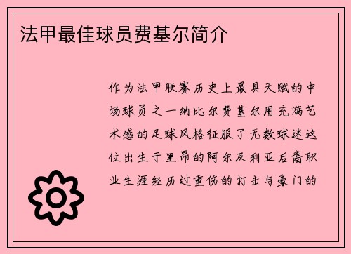 法甲最佳球员费基尔简介