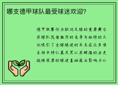 哪支德甲球队最受球迷欢迎？